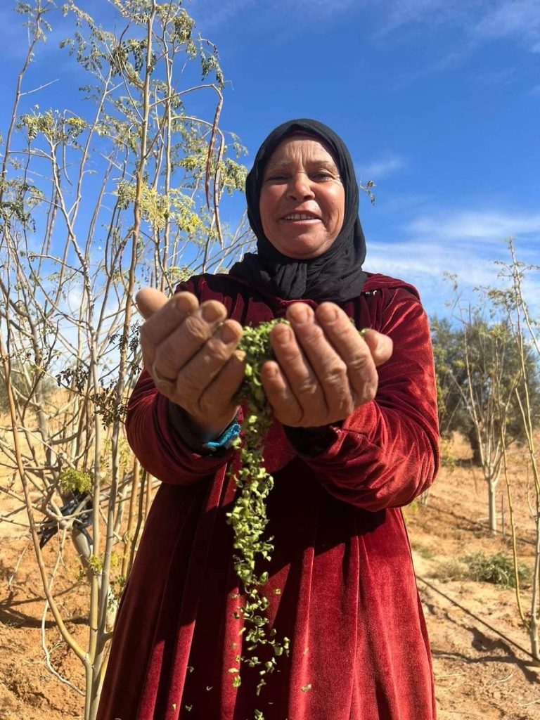 Femmes rurales : au cœur de l’engagement d’AGAMAN
